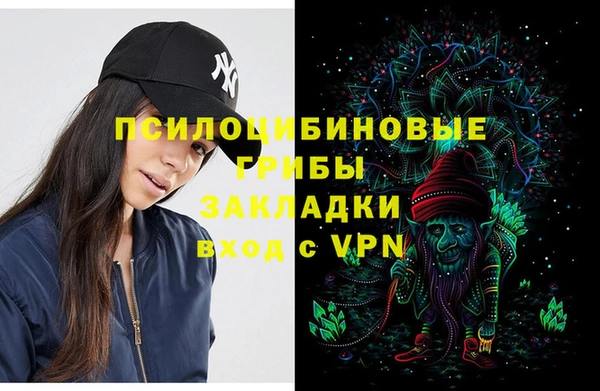 твердый Лиски