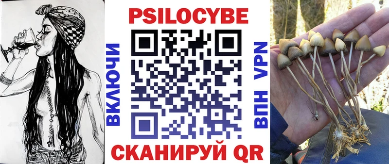 где купить   Межгорье  Псилоцибиновые грибы ЛСД 